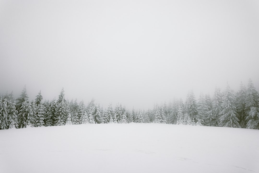 Skigebiet Skigebiet Sonnenberg