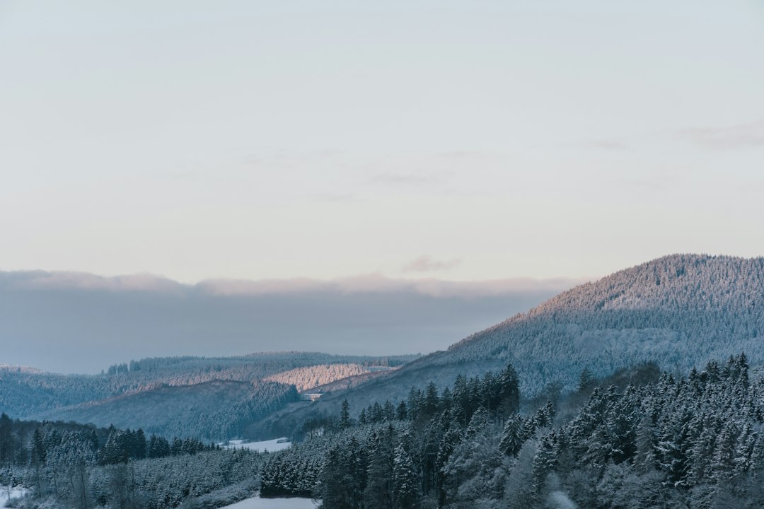 Skigebiet Skiliftkarussell Winterberg
