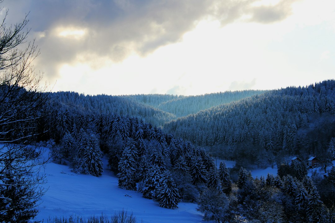 Skigebiet Skilift Erste Berg Masserberg