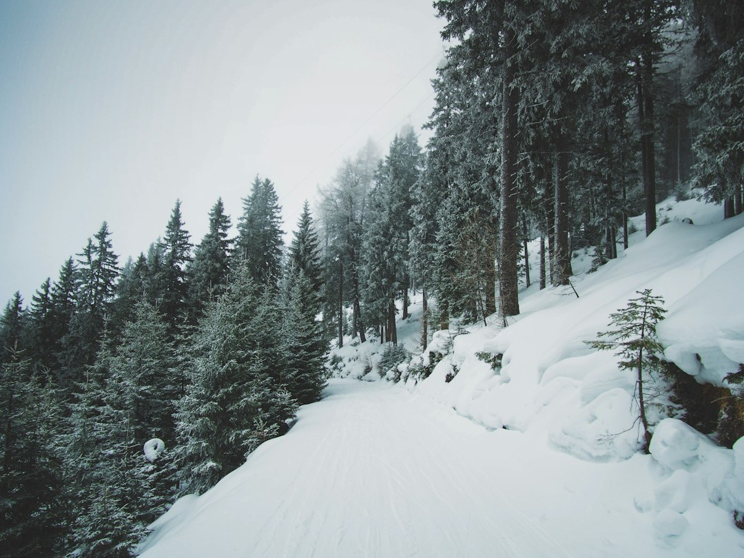 Skigebiet Forsteralm Skilifte