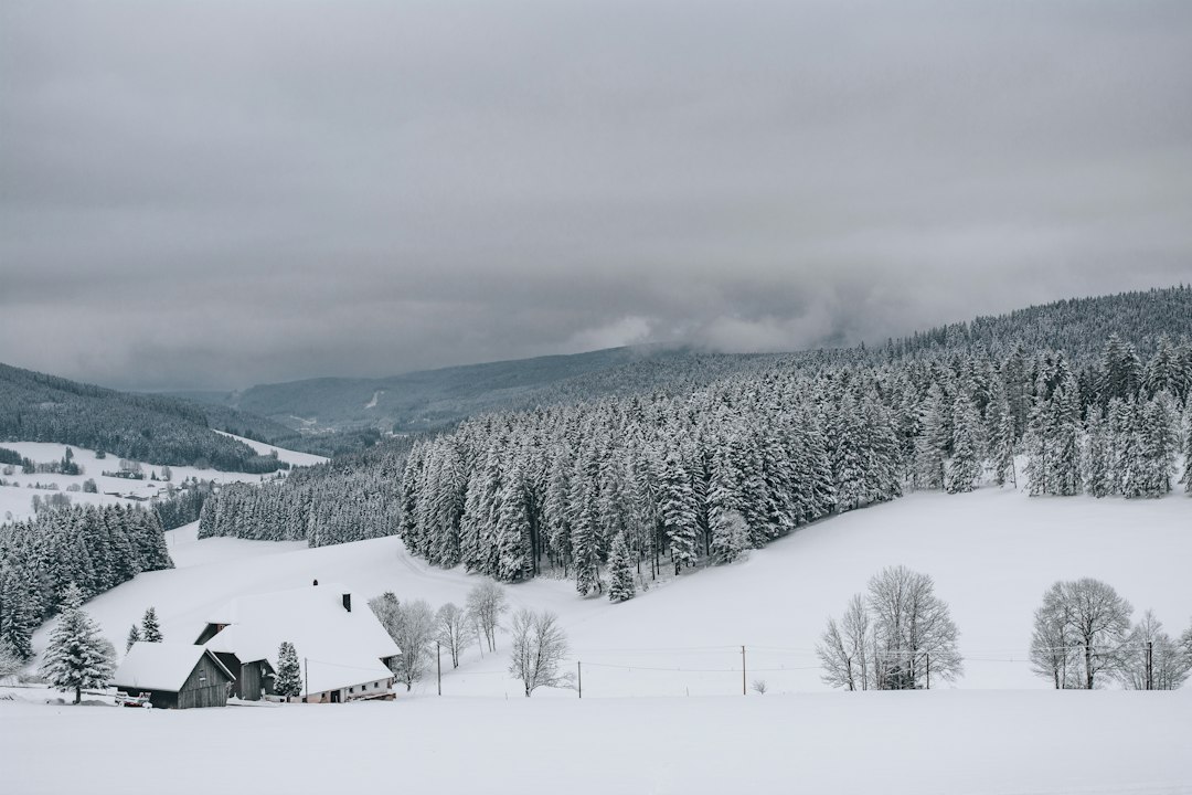 Skigebiet Skigebiet "Auf der Rose"