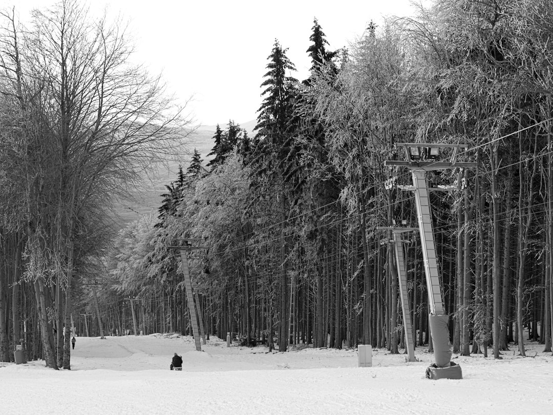 Skigebiet Skilifte Kaltenbronn