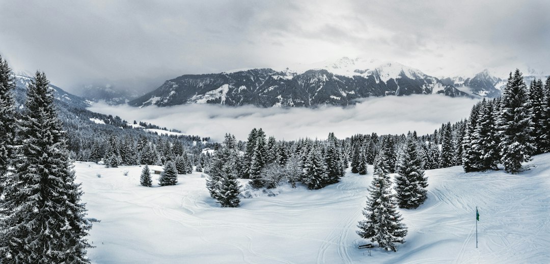 Skigebiet Skigebiet und Minschuns