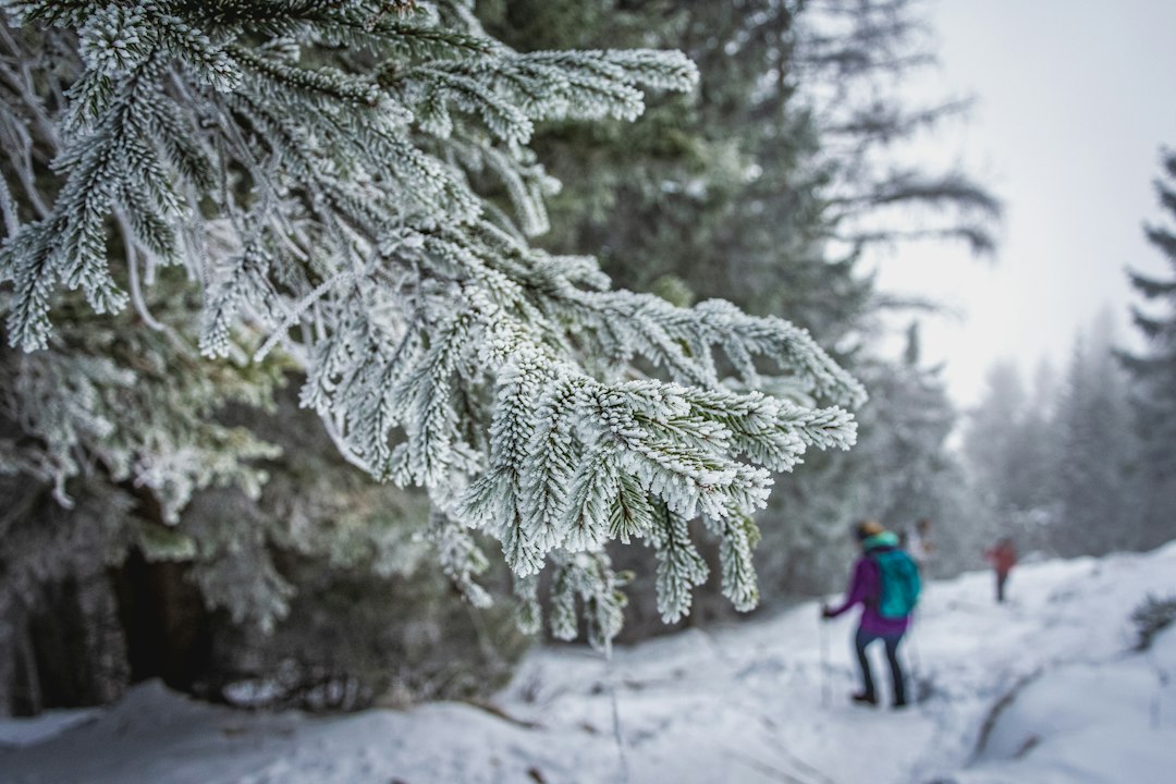 Skigebiet Thurnhof Schlepplifte