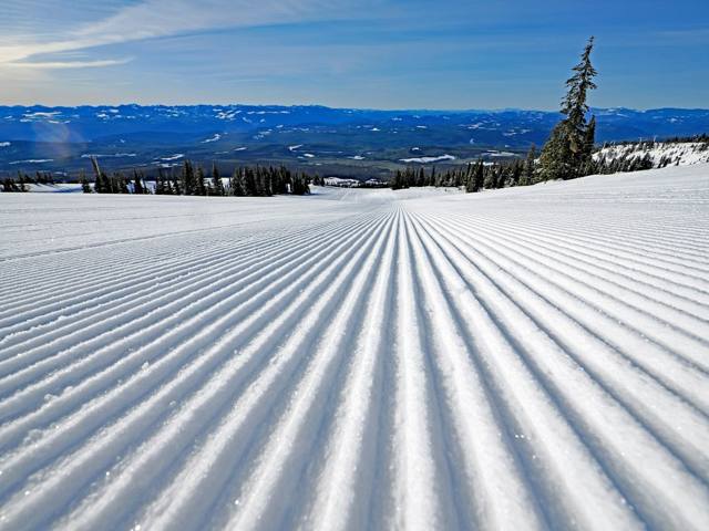 Bigfoot Ski 2026: Kurzski und Snowblades im Vergleich