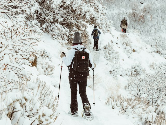 Schneeschuhe im Vergleich: Kaufberatung und sechs Modelle